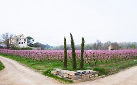 Hotel Rural Mas de l'Illa